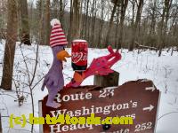 /home//u458753944/public_html/sourcegallery////////////////Chickens/Valley Forge/IMG_20201220_122837874_HDR.jpg